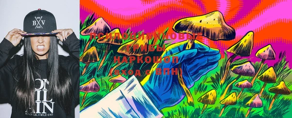 гидра Горно-Алтайск