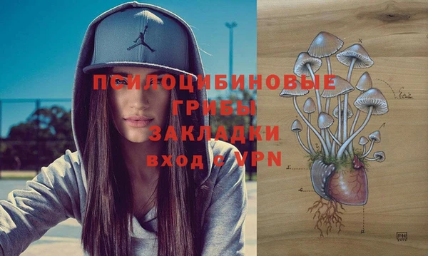 твердый Гусь-Хрустальный