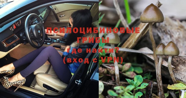 прущий лед Гусиноозёрск