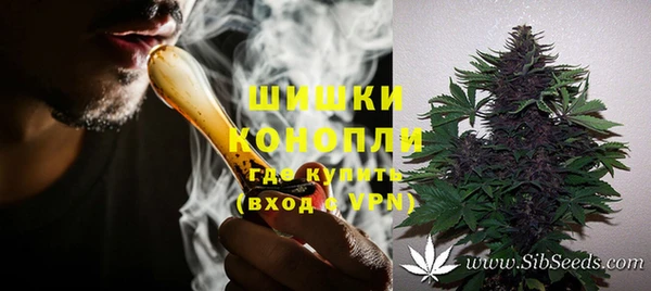 кокс Гусев