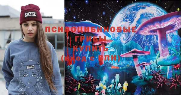 твердый Гусь-Хрустальный