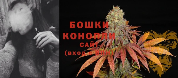 твердый Гусь-Хрустальный